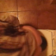 A hidden camera mounted in the ceiling above a toilet records a woman taking a shit and wiping herself. Poop is somewhat visible in the toilet bowl when she stands up to flush.